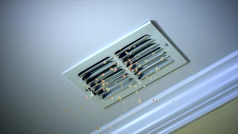 Best Professional Duct Cleaning Services  in Santa Moni, CA