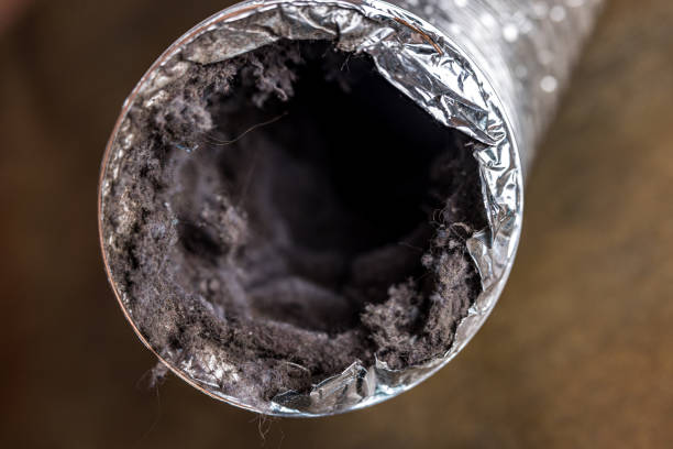 Best Affordable Air Duct Cleaning  in Santa Moni, CA